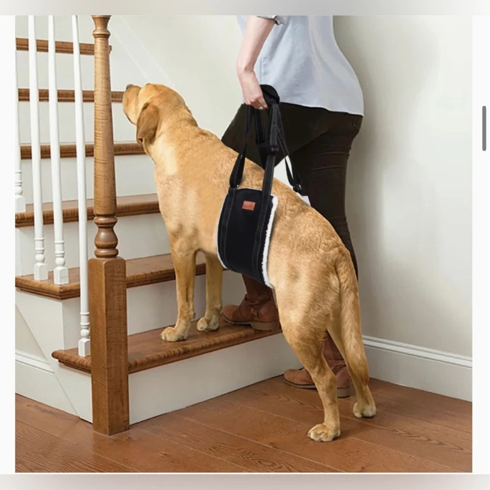 New Size M Black Loobani Dog Lift / Sling (bag not included)